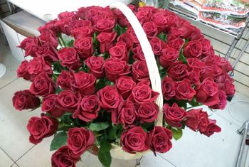 51 роза в корзине ,Эквадор, 60см